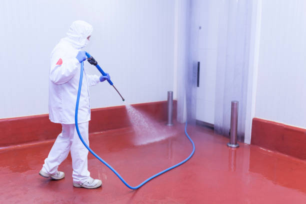 Animal Enclosure Cleaning in Kane, PA